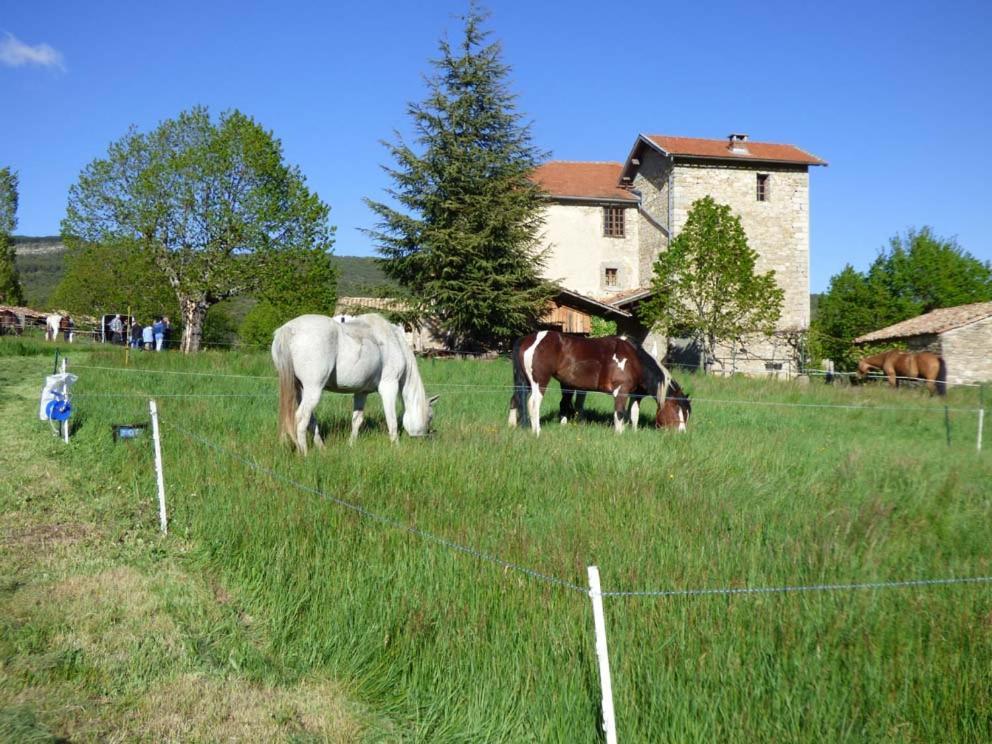 Hotel Le Relais Des Baronnies Montjay  Exterior foto